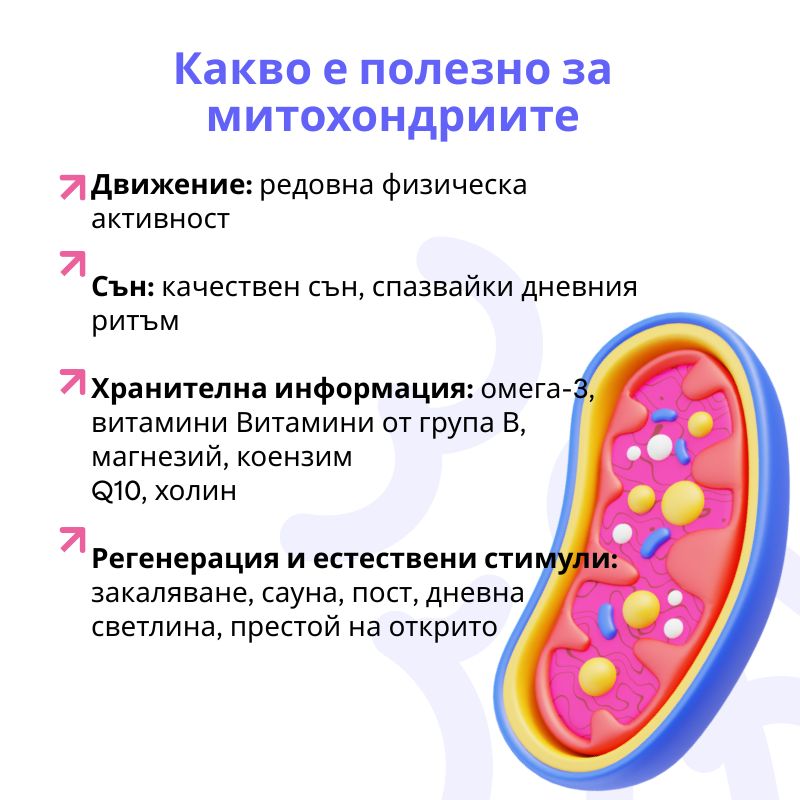 (Bulharština) (32)